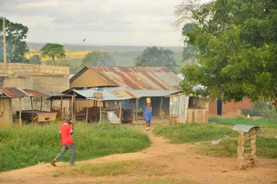 DSC_4343 (Large).JPG